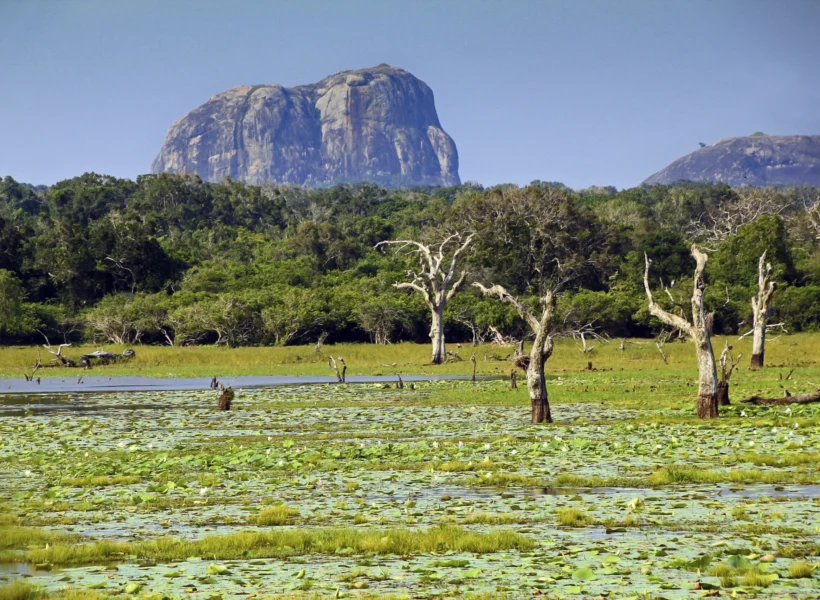 Yala_National_Park_Sri_Lanka_2012-przerobione